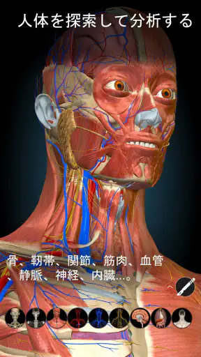 Anatomy Learning - 3D人体解剖図 screenshot 7