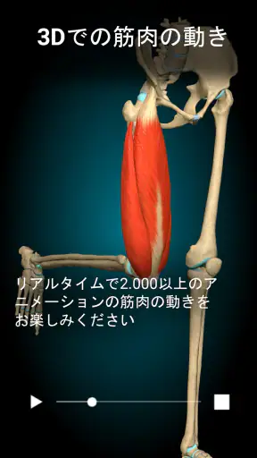 Anatomy Learning - 3D人体解剖図 screenshot 8
