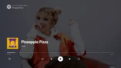 Android TV用Spotifyミュージック screenshot 5
