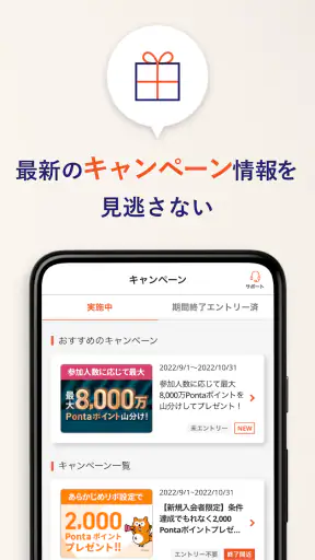 au PAY カード screenshot 7