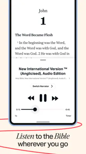Holy Bible Offline NIV KJV App screenshot 3