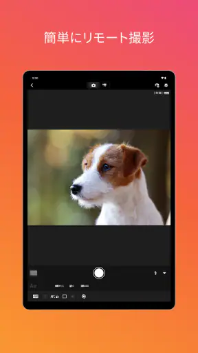 Canon Camera Connect screenshot 7