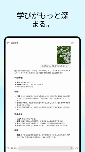 ChatGPT screenshot 10