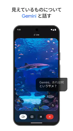 Google Gemini screenshot 3