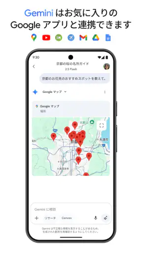 Google Gemini screenshot 6