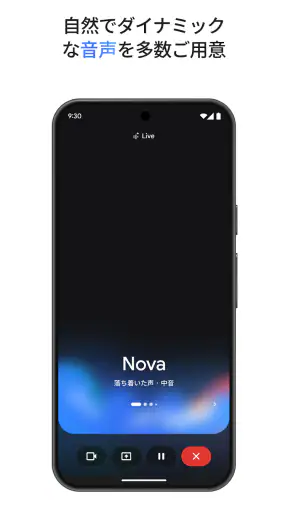 Google Gemini screenshot 8