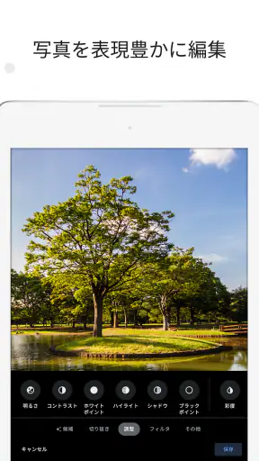 Google フォト screenshot 10
