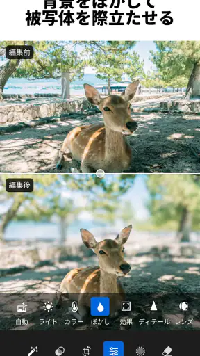 Lightroom:写真&動画エディター・写真映像編集 screenshot 3