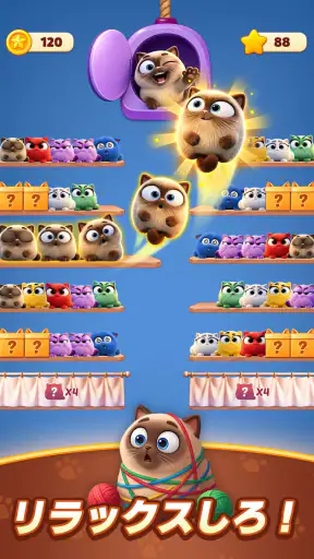 Meow Sort-Color Puzzle Master screenshot 3