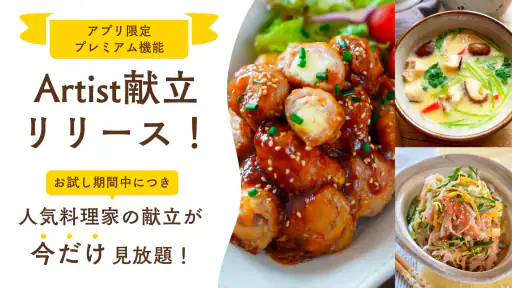 Nadia - プロの料理家のおいしいレシピが満載 screenshot 10
