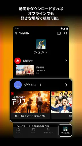 Netflix screenshot 2