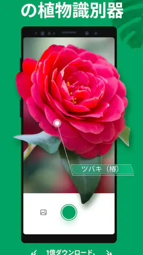 PictureThis：撮ったら 1秒でわかる 植物図鑑 screenshot 1