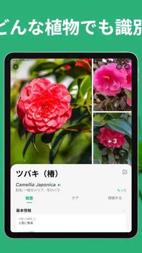 PictureThis：撮ったら 1秒でわかる 植物図鑑 screenshot 10