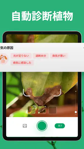PictureThis：撮ったら 1秒でわかる 植物図鑑 screenshot 12