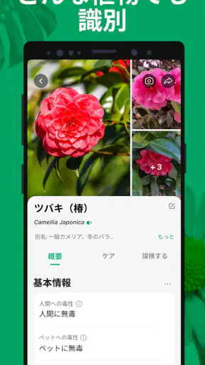 PictureThis：撮ったら 1秒でわかる 植物図鑑 screenshot 2