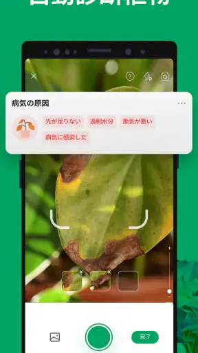 PictureThis：撮ったら 1秒でわかる 植物図鑑 screenshot 4