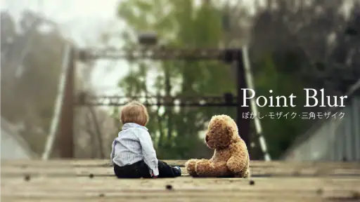Point Blur ポイントぼかし・モザイク加工 screenshot 9