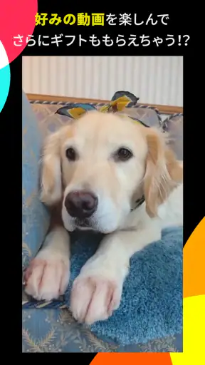 TikTok Lite 動画好き必見!動画×ポイントのポイ活 screenshot 3