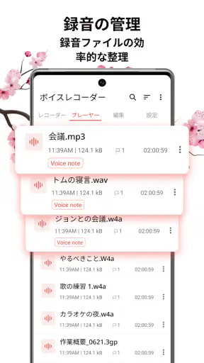ボイスレコーダー: 簡単ボイスメモ, 音声録音 screenshot 5
