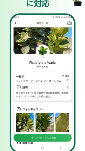 植物識別子 screenshot 2