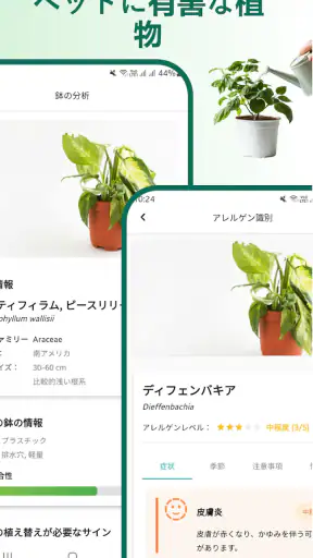 植物識別子 screenshot 5
