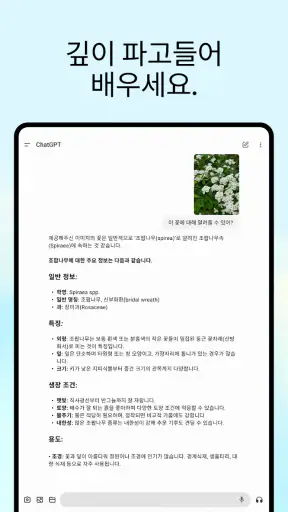 ChatGPT screenshot 10