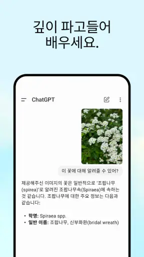 ChatGPT screenshot 4
