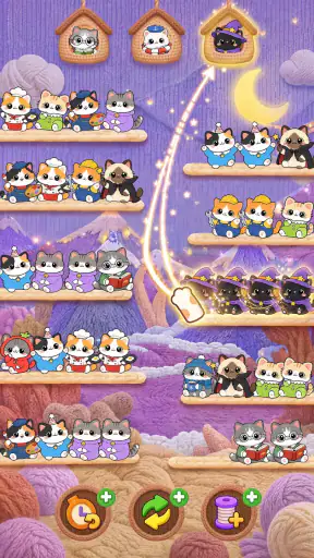 Cutie Sort: 고양이 분류 퍼즐 screenshot 5