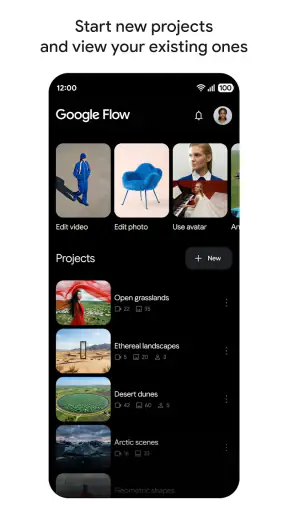 Google Flow screenshot 1