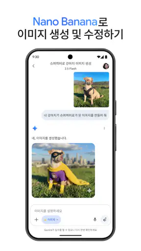 Google Gemini screenshot 1