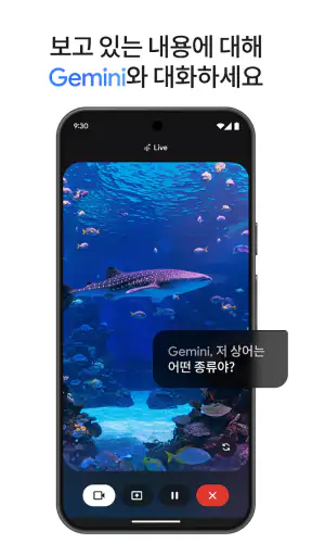 Google Gemini screenshot 3