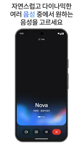 Google Gemini screenshot 7