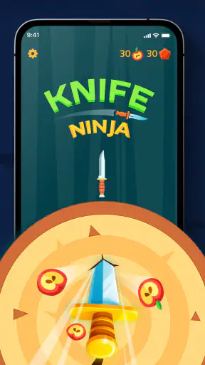Knife Ninja screenshot 1