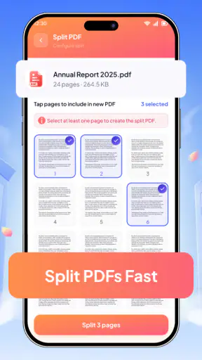 Luminix PDF screenshot 3