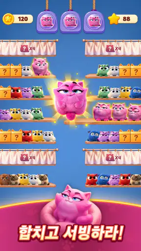 Meow Sort-Color Puzzle Master screenshot 1