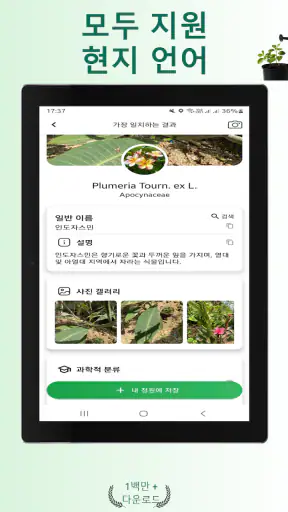 식물 식별자 screenshot 10
