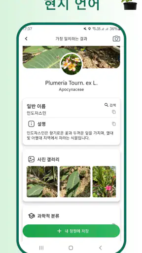 식물 식별자 screenshot 2
