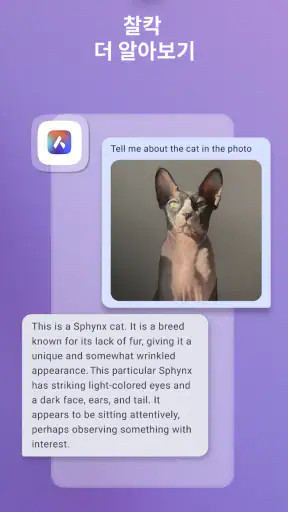 인공 지능이 탑재된 Opera의 비공개 브라우저 screenshot 7