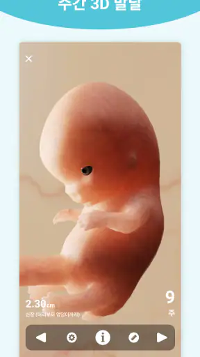 Pregnancy + | Tracker App screenshot 5