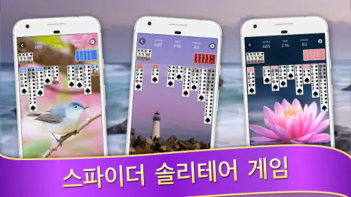 카드게임 - 스파이더카드놀이 screenshot 1