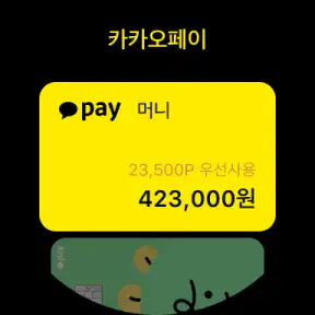 카카오페이 screenshot 8