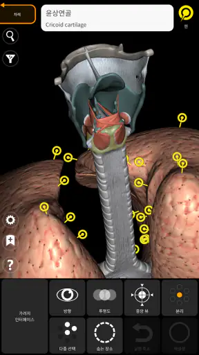해부학 - 3D 아틀라스 screenshot 7
