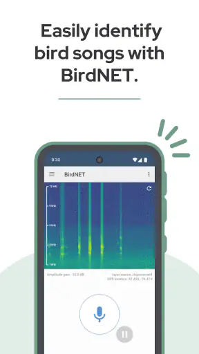 BirdNET screenshot 1