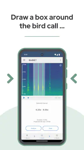 BirdNET screenshot 4