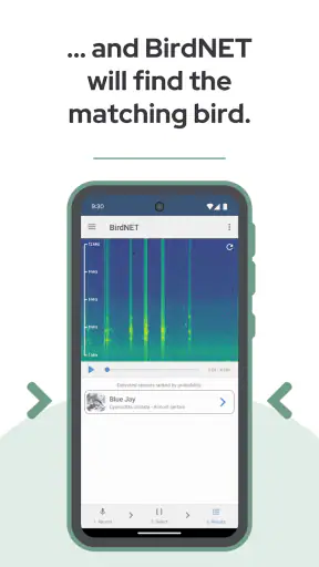 BirdNET screenshot 5