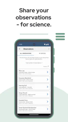 BirdNET screenshot 7