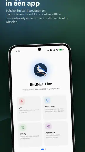 BirdNET Live screenshot 1