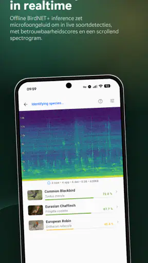 BirdNET Live screenshot 2