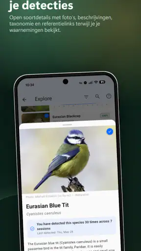 BirdNET Live screenshot 5