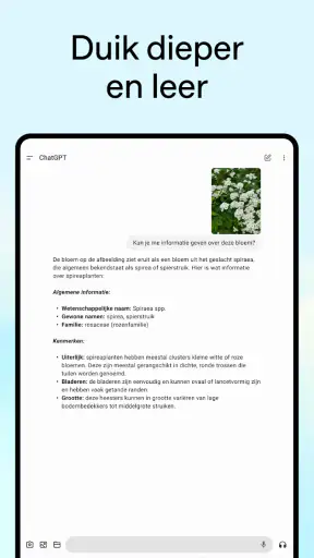 ChatGPT screenshot 10